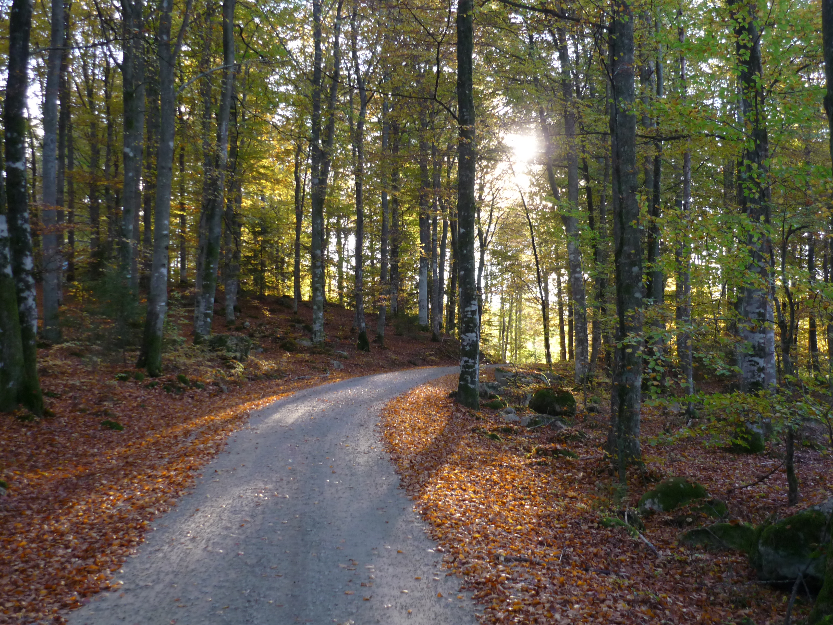 Wanderweg in Sighult